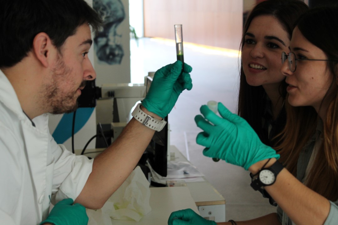 Semana de la Ciencia 2016 - Parque de las Ciencias